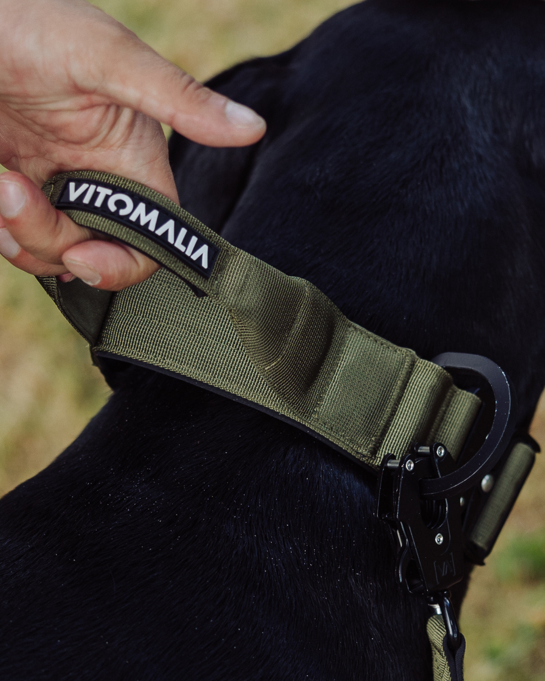 Hundehalsband