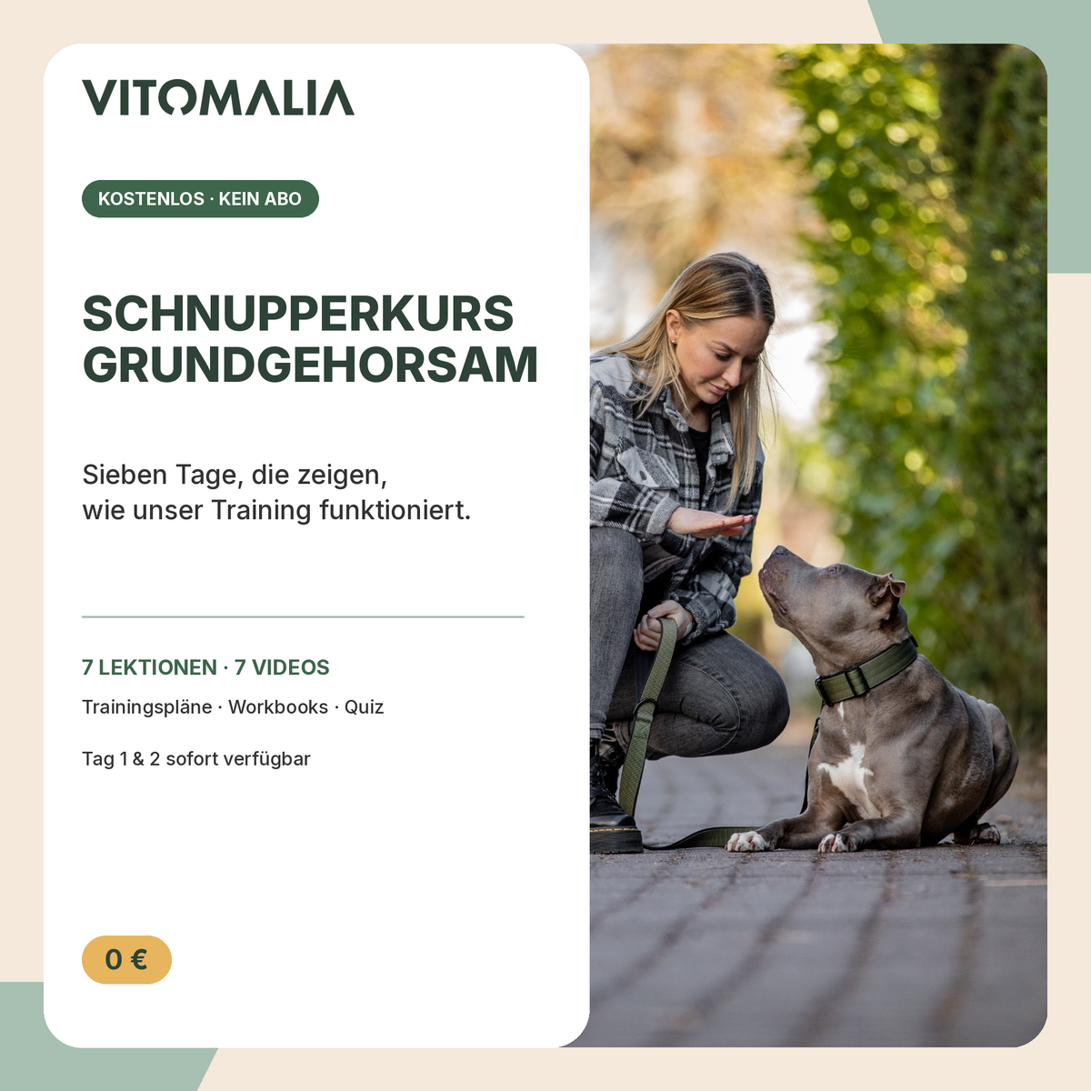 Schnupperkurs Grundgehorsam