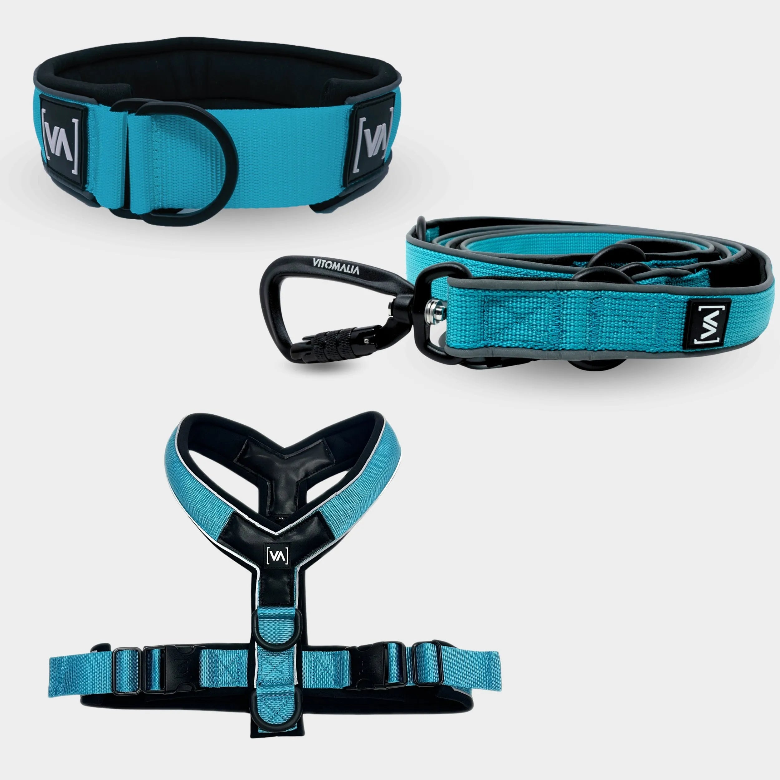 Bundle Easy Go Edition Turquoise Set - Pull stop collar + Y-Harness + 2.2m adjustable Dog Leash