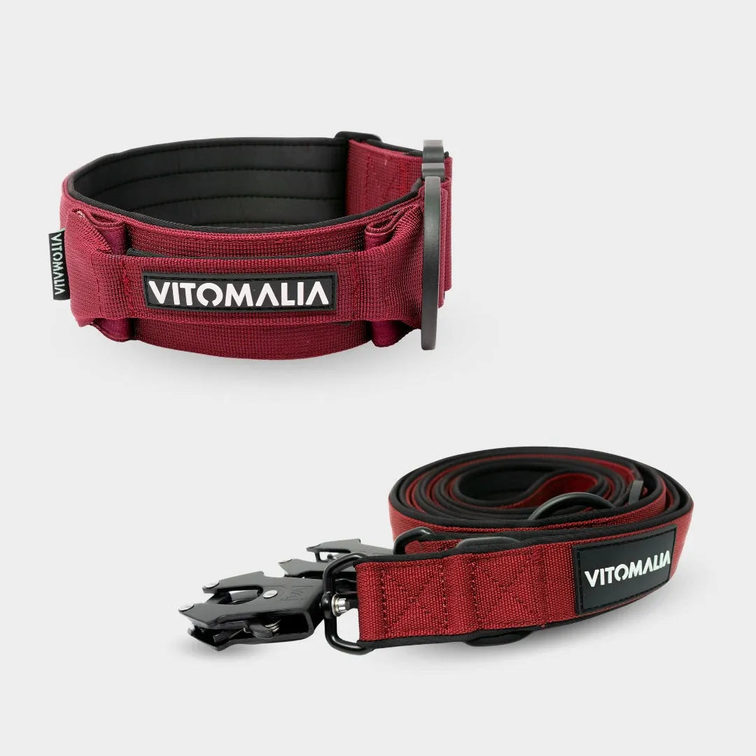 Bundle Extreme Edition Bordeaux Set - Collar + 2.2m triple adjustable Dog Leash