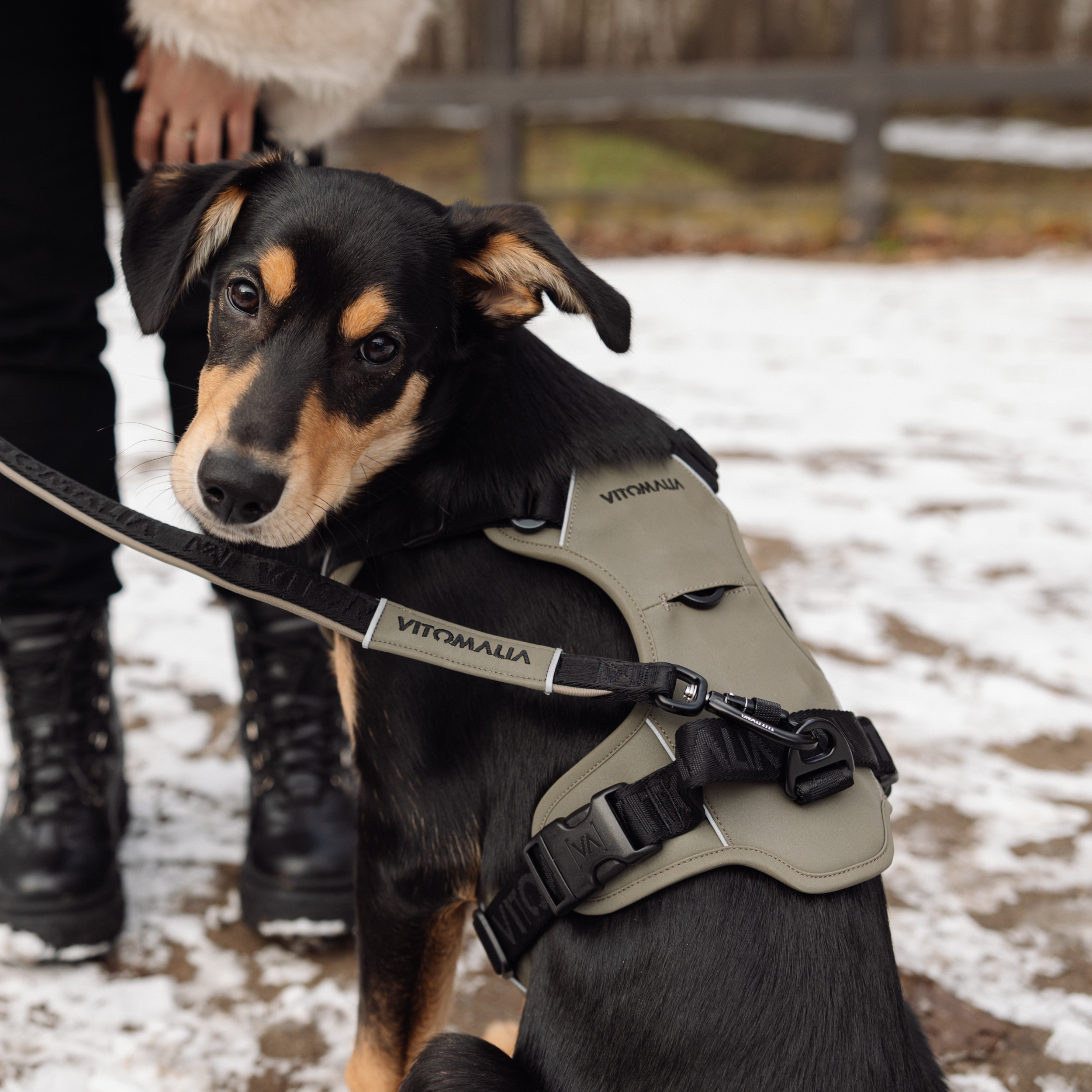 Reflective three-way adjustable Dog Leash Khaki - 2.2 m