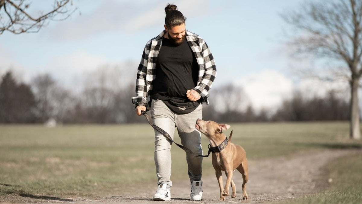 Leinenführigkeit – Online-Kurs von Vitomalia, Coming Soon