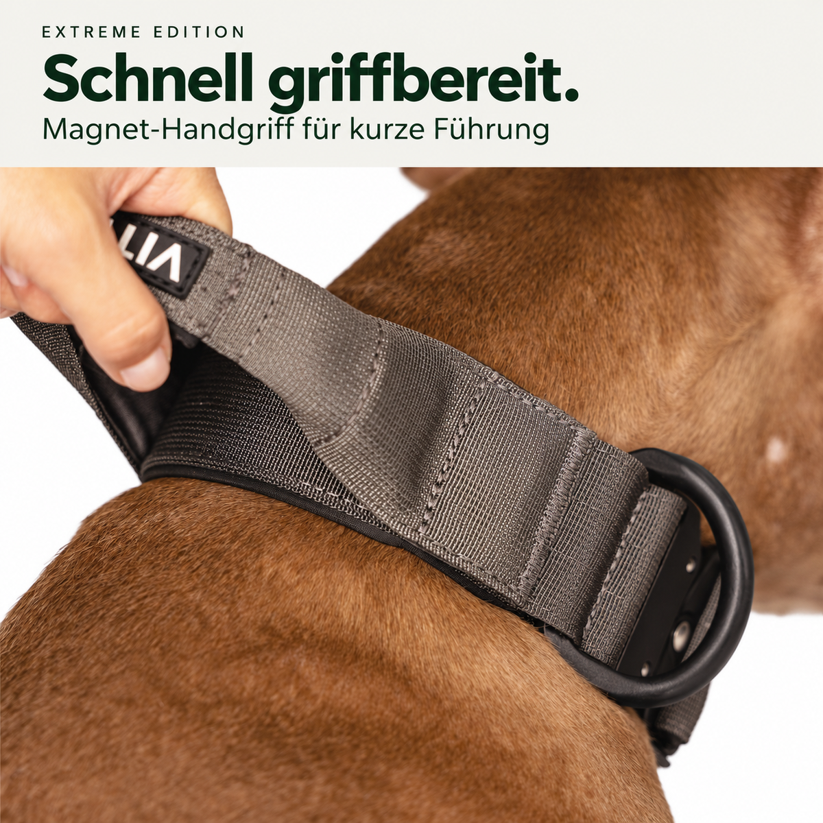 Vitomalia Extreme Edition anthrazit – Magnet-Handgriff für kurze Führung
