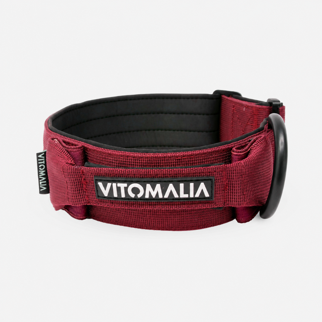 Robustes Hundehalsband mit Sicherheitsverschluss & Magnet-Handgriff – Bordeaux