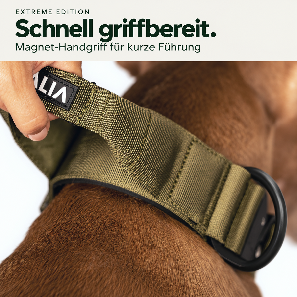 Vitomalia Extreme Edition khaki – Magnet-Handgriff für kurze Führung