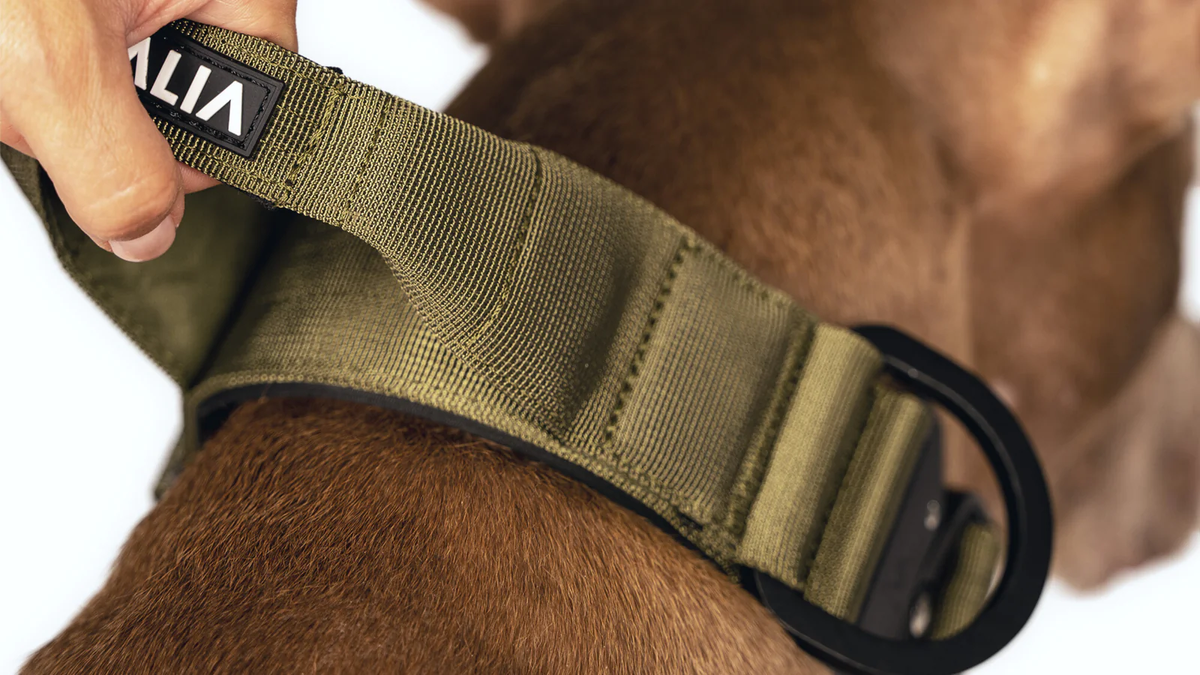 Vitomalia Extreme Edition khaki – Originalaufnahme Magnet-Handgriff