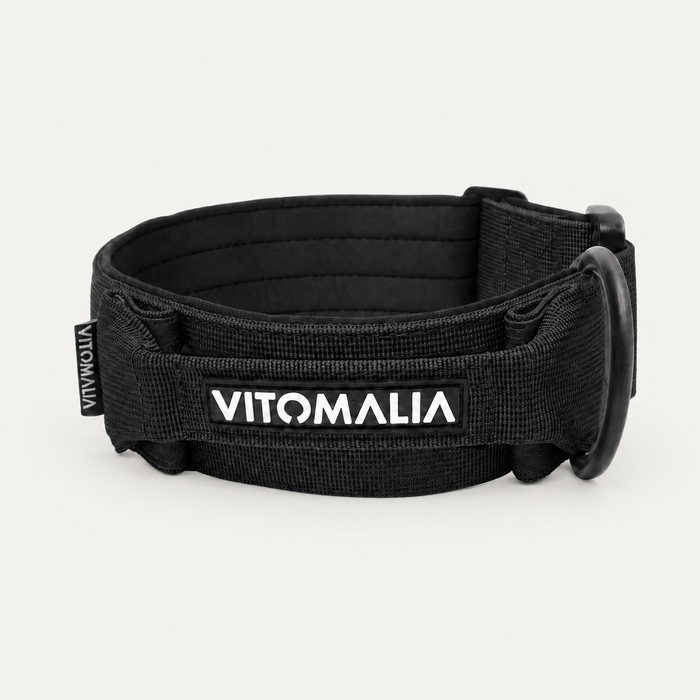 Robustes Hundehalsband mit Sicherheitsverschluss & Magnet-Handgriff – Schwarz