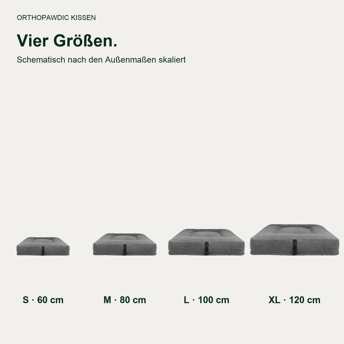 OrthoPawdic kissen teddy grau – vier Größen; originalgetreu freigestellt