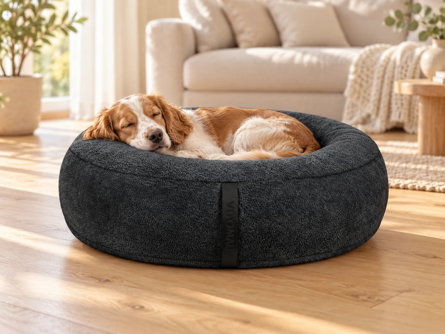 Ein Hund ruht im anthrazitfarbenen OrthoPawdic-Donutbett. Illustrative Anwendungsszene.