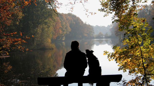 Trödeln mit dem Hund – die Beschäftigung, die wirklich auslastet