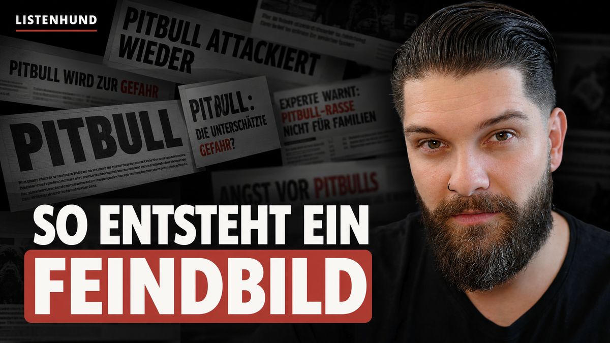 Tödlicher Hundeangriff in Drosa – was wirklich bekannt ist