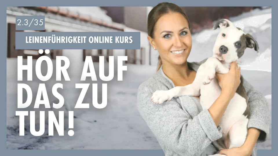 Die Sprache der Hunde verstehen | Klare Kommunikation für Leinenführigkeit