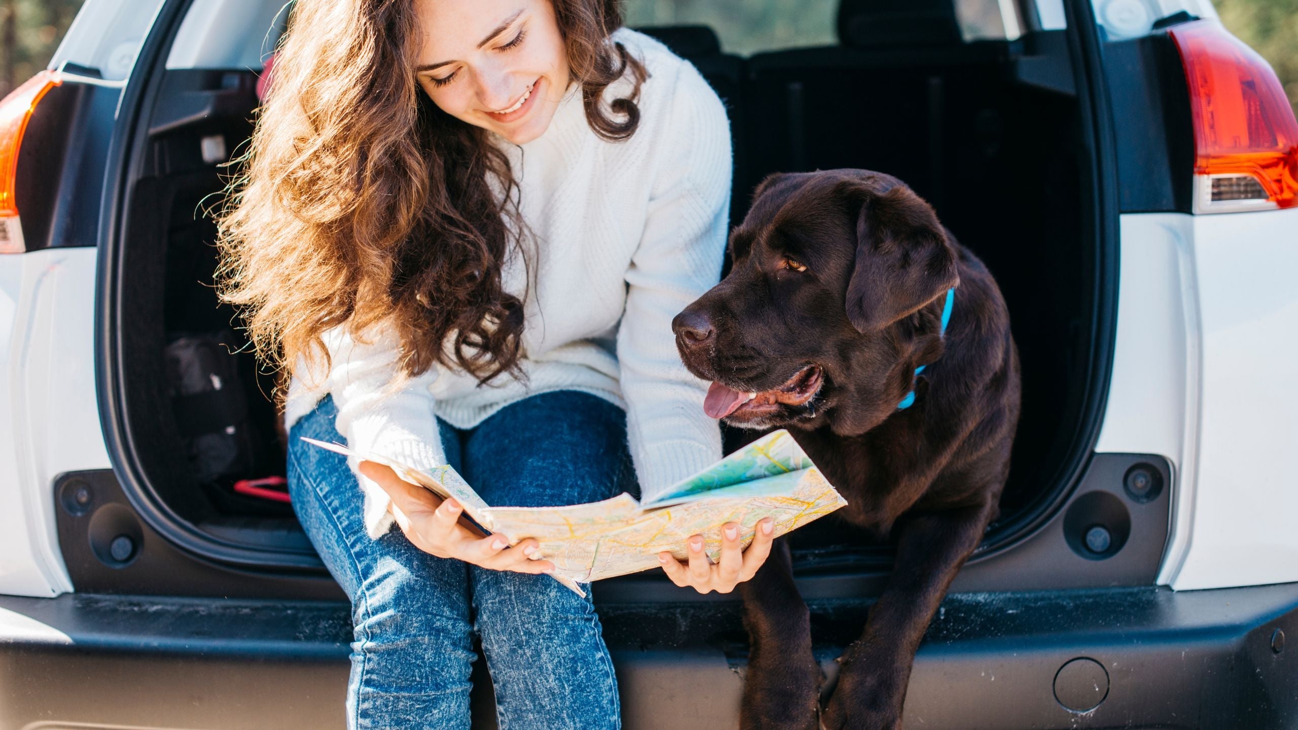 Tipps für lange Autofahrt mit Hund
