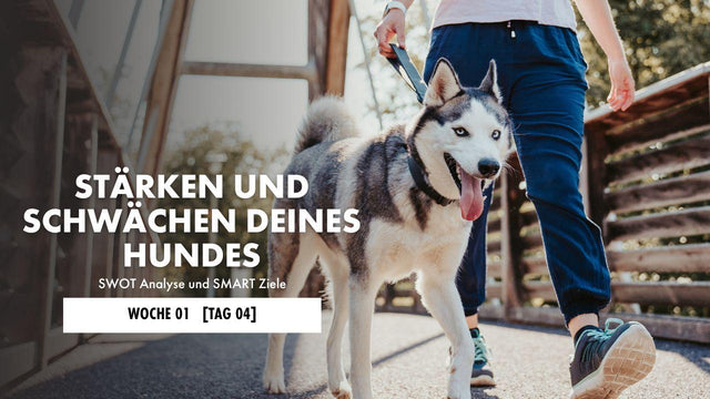 Frau sitzt am Schreibtisch und schreibt etwas auf ein Blatt