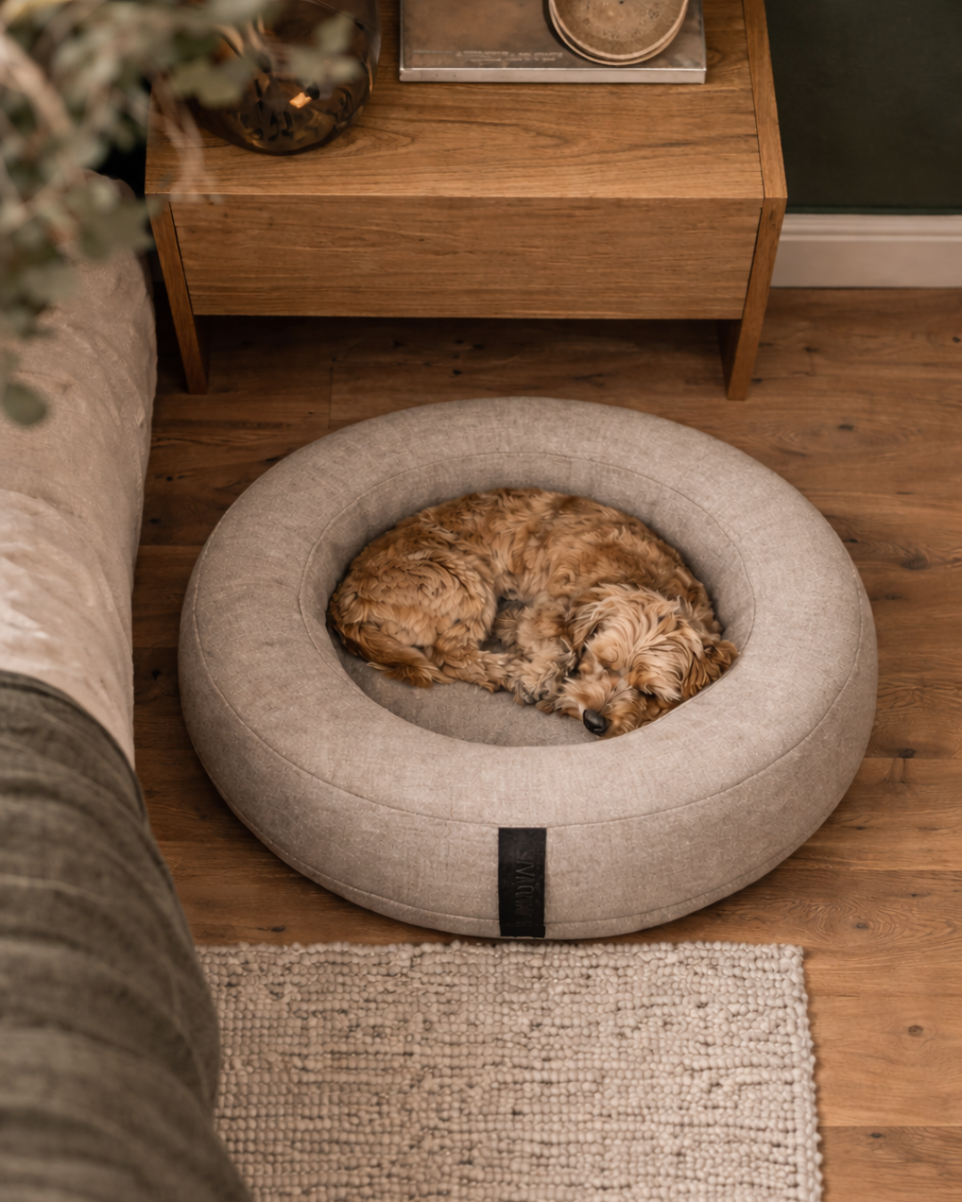Bett · OrthoPawdic Donut