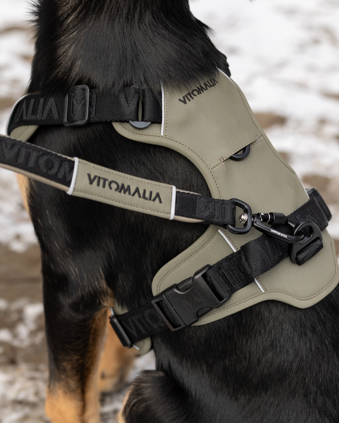 Hundegeschirr