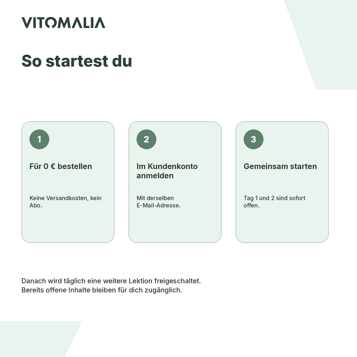 Schnupperkurs Grundgehorsam