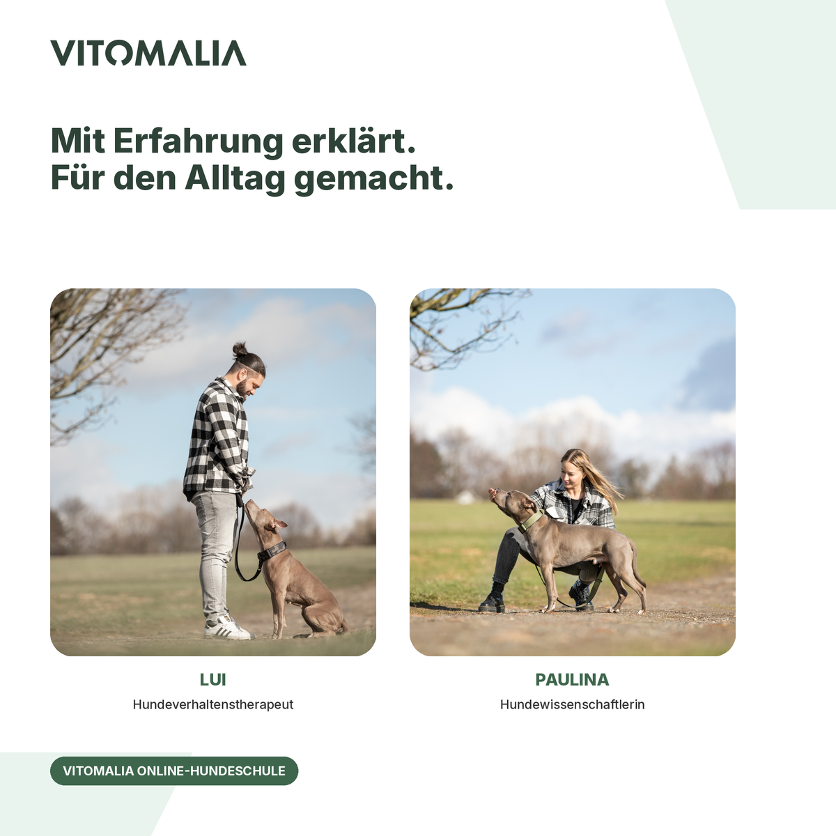 Schnupperkurs Grundgehorsam