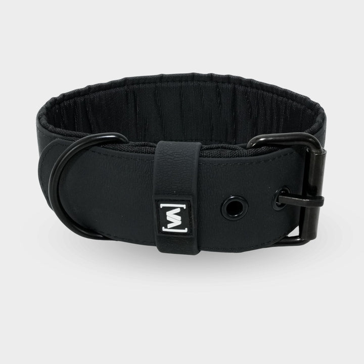 Bundle Aqua Edition Noir Set - Collier + 2,2m triple Laisse pour chien réglable Laisse pour chien