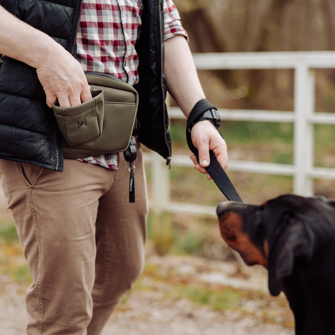 Multifunktionale Khaki Gassitasche für Hundebesitzer als Bauchtasche in Khaki: Mit herausnehmbaren Leckerlifächern, Kotbeutelspender und Wasserflaschenhalter - Vitomalia - Gassitasche