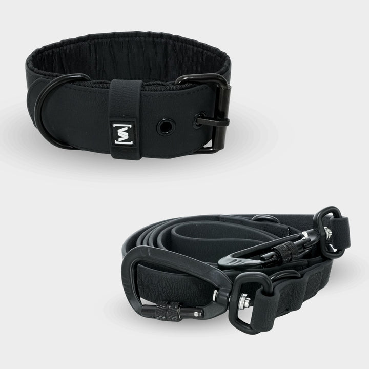 Bundle Aqua Edition Noir Set - Collier + 2,2m triple Laisse pour chien réglable Laisse pour chien