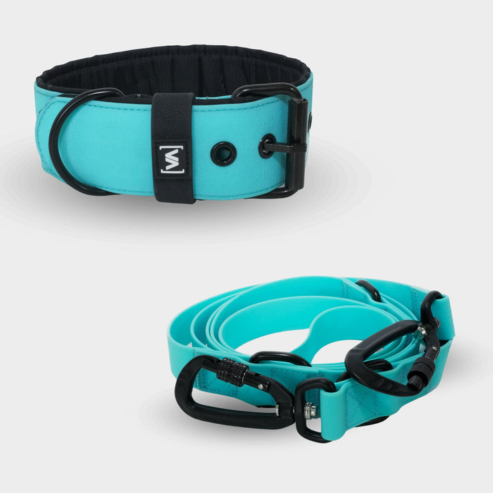 Bundle Aqua Edition Turquoise Set - Collar + 2.2m triple adjustable Dog Leash