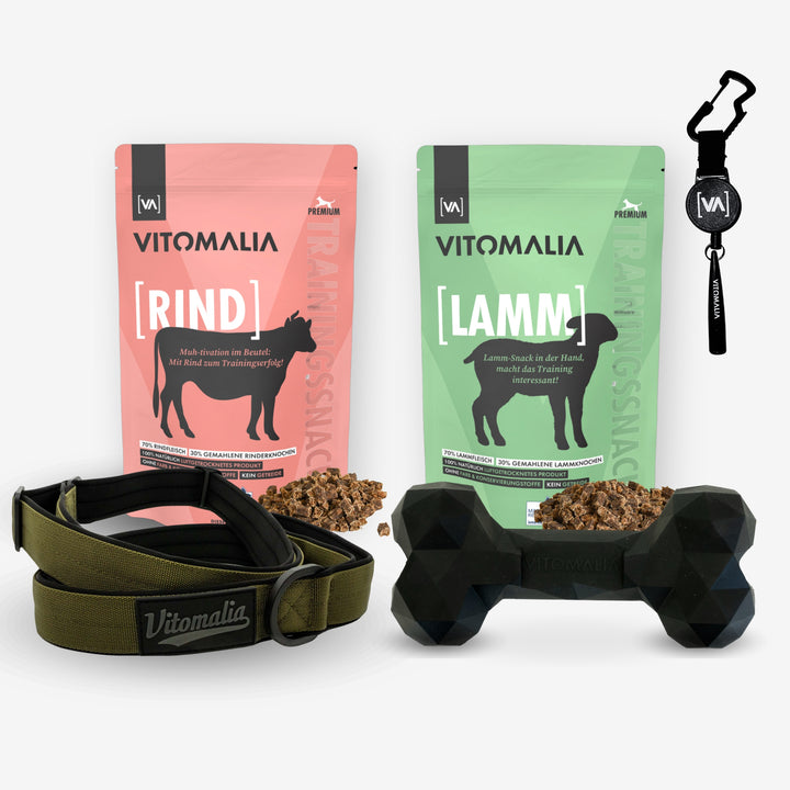 Set per addestramento e passeggiate - osso, snack, Fischietto retrattile per cani e guinzaglio Moxon color kaki