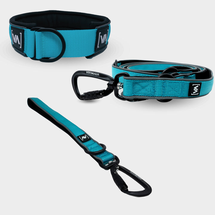 Bundle Easy Go Edition Turquoise Set - collar pull stop + Correa corta + Correa para perro