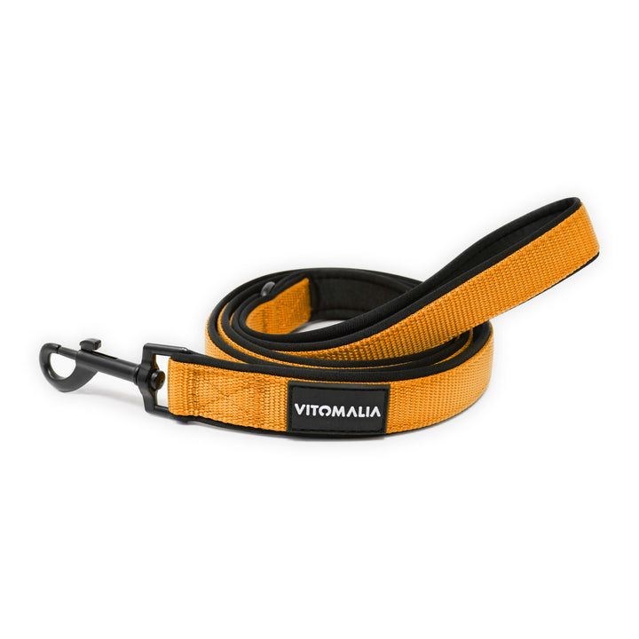 Hundeleine Classic Nero Edition Orange - mit Handschlaufe - Vitomalia - Hundeleine