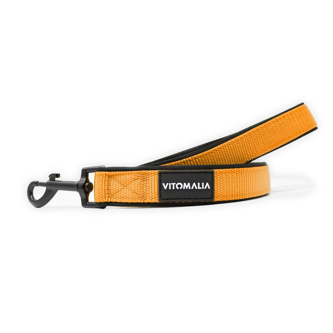 Hundeleine Classic Nero Edition Orange - mit Handschlaufe - Vitomalia - Hundeleine