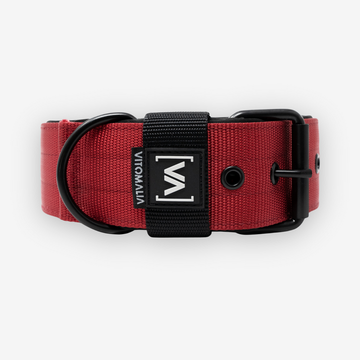 Classic Dog Collar with protruding inner lining - Nero Bordeaux