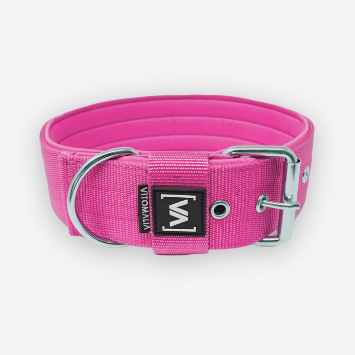 Klassisches Hundehalsband mit abstehender Innenfütterung - Pink