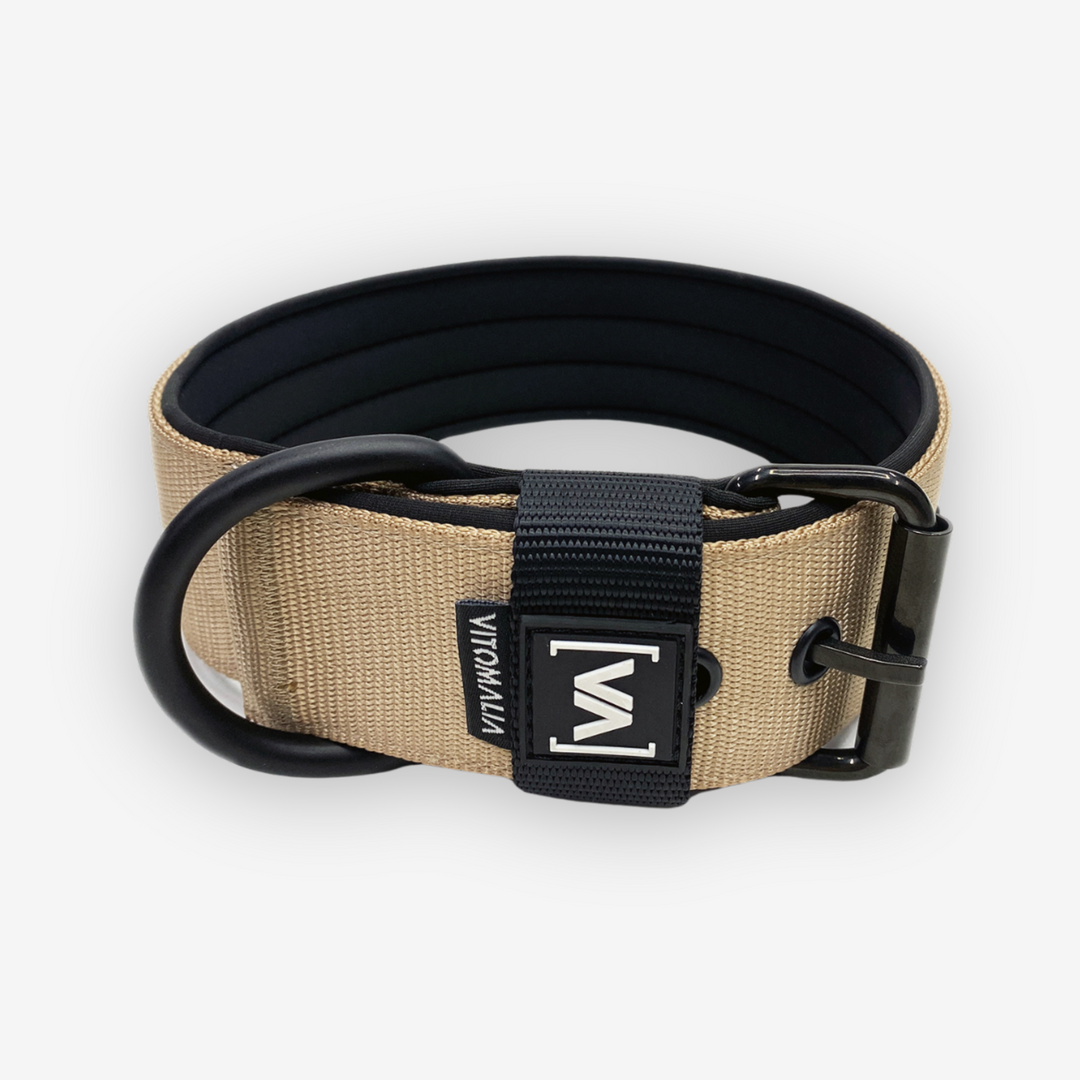 Classic Dog Collar with protruding inner lining - Nero Beige