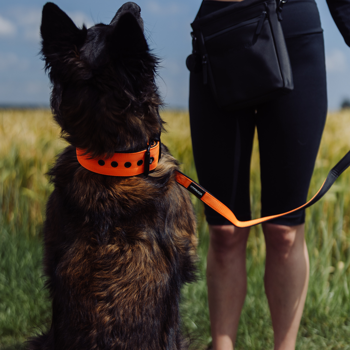 Klassisches Hundehalsband mit abstehender Innenfütterung - Nero Orange