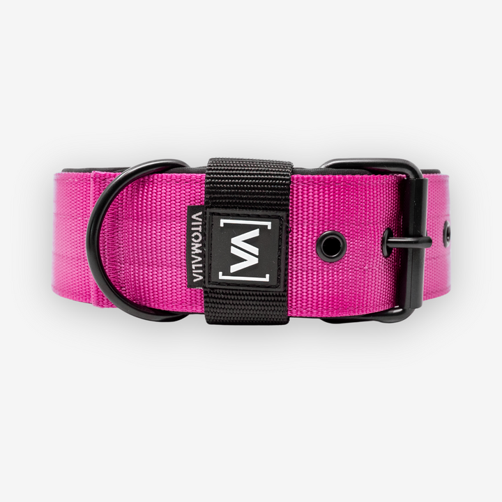 Classic Dog Collar with protruding inner lining - Nero Pink