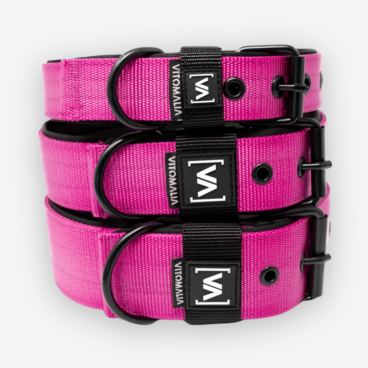 Classic Dog Collar with protruding inner lining - Nero Pink