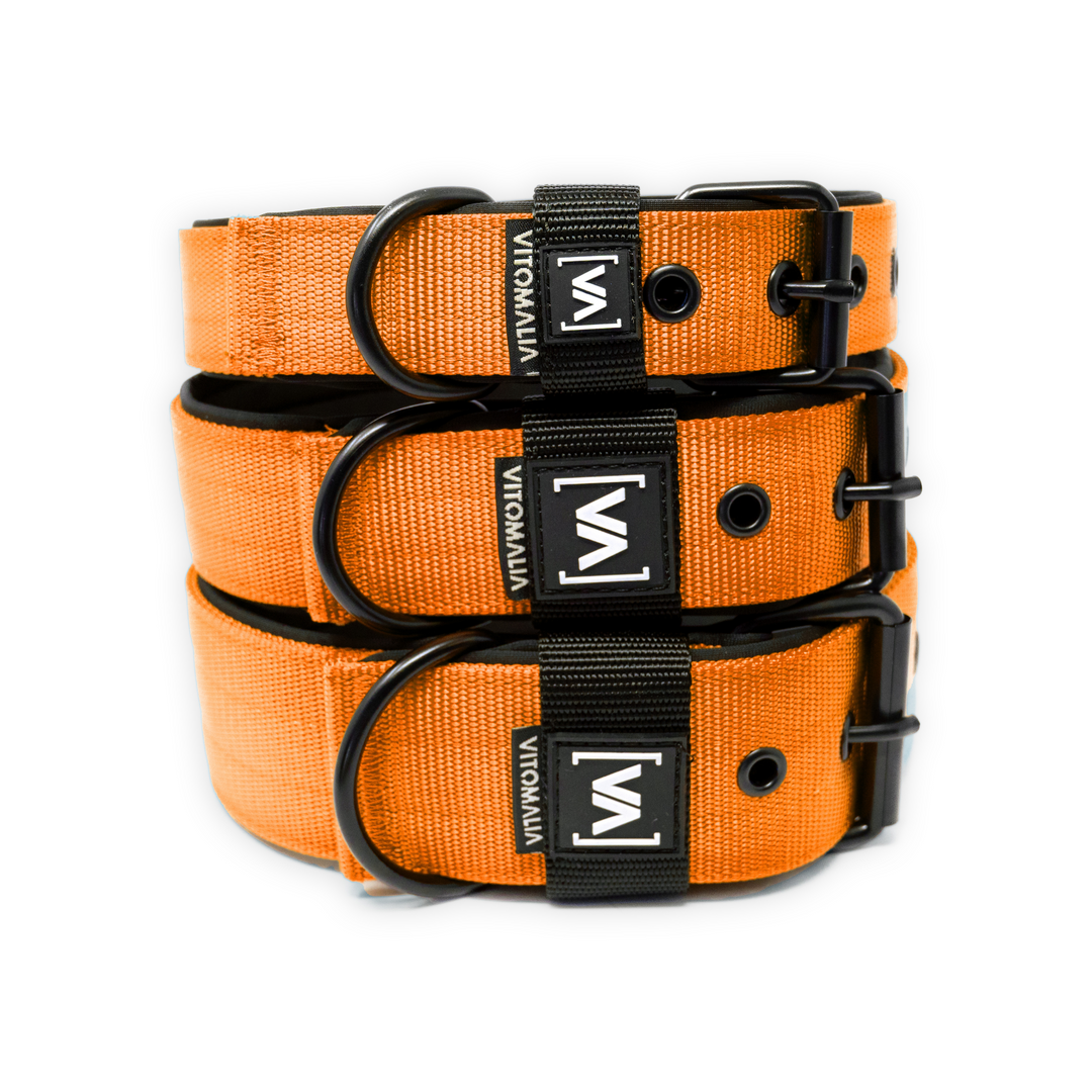 Klassisches Hundehalsband mit abstehender Innenfütterung - Nero Orange - Vitomalia - Hundehalsband