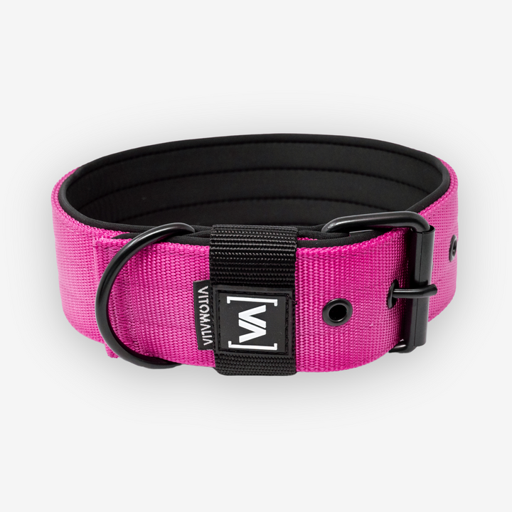 Klassisches Hundehalsband mit abstehender Innenfütterung - Nero Pink