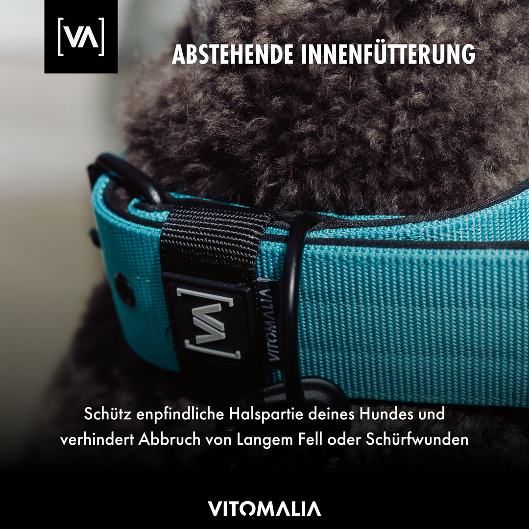 Klassisches Hundehalsband mit abstehender Innenfütterung - Nero Beige