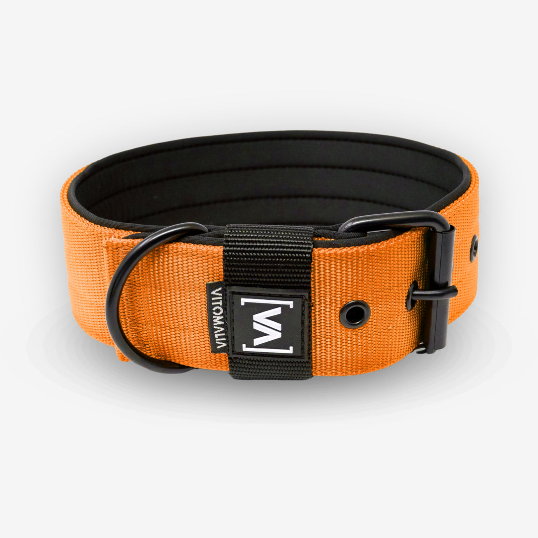 Klassisches Hundehalsband mit abstehender Innenfütterung - Nero Orange