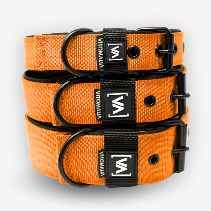 Klassisches Hundehalsband mit abstehender Innenfütterung - Nero Orange