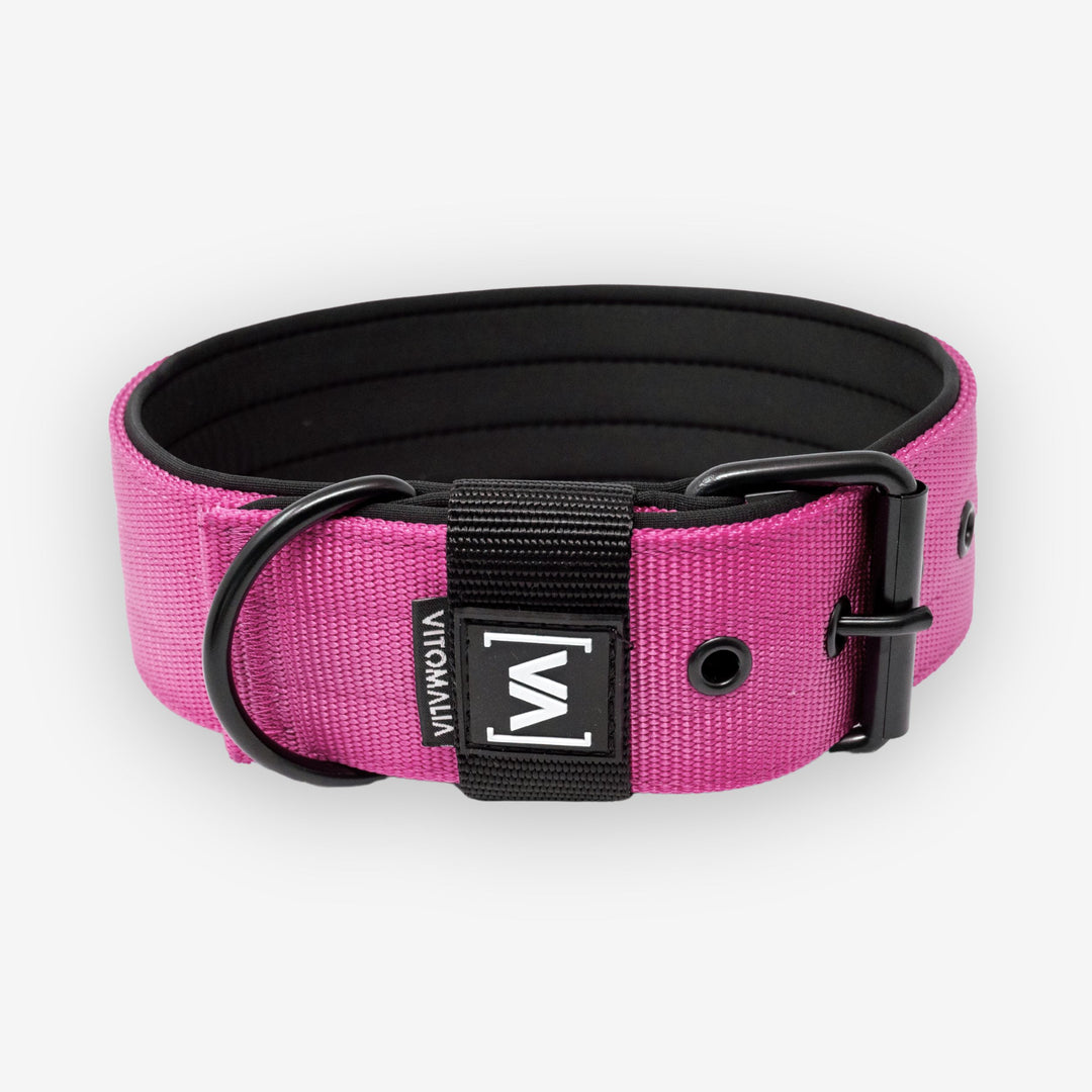 Collare per cane classico Collare per cane con fodera interna sporgente - Nero Pink