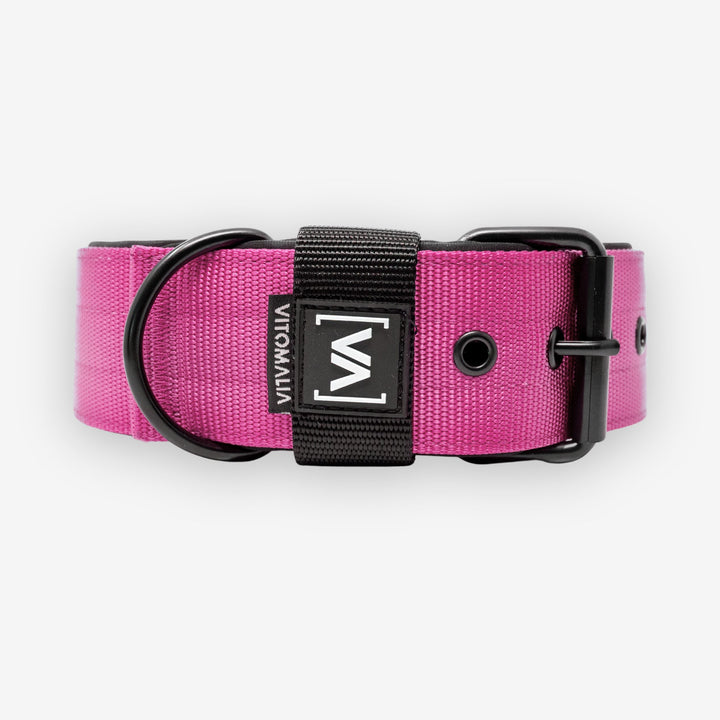 Klassisches Hundehalsband mit abstehender Innenfütterung - Nero Pink