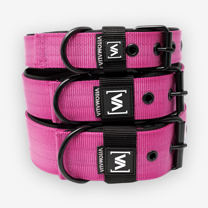 Collare per cane classico Collare per cane con fodera interna sporgente - Nero Pink