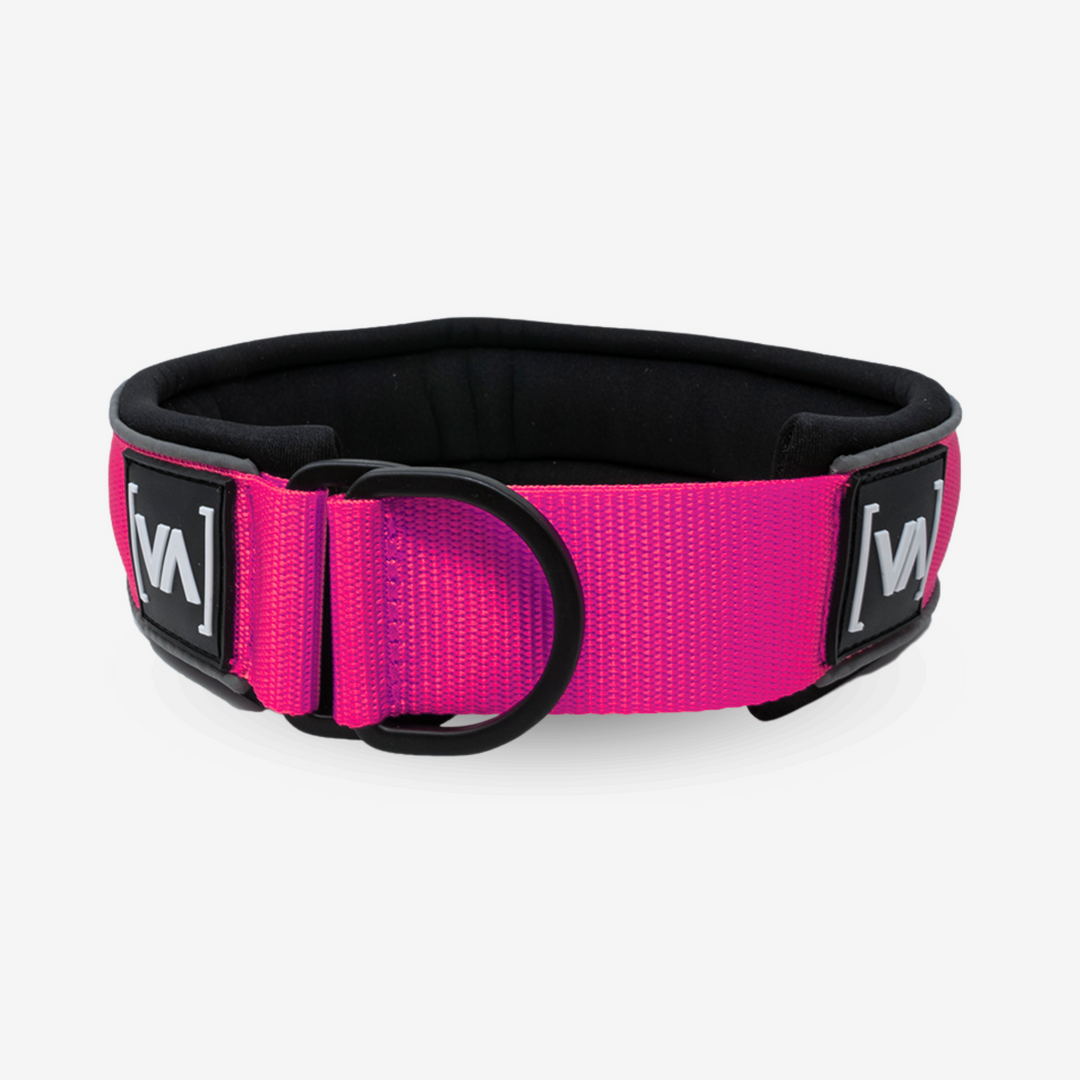 Reflektierendes pinkes Zugstopp-Hundehalsband - Mit Anti-Würg-Funktion - Vitomalia - Hundehalsband Easy Go Edition