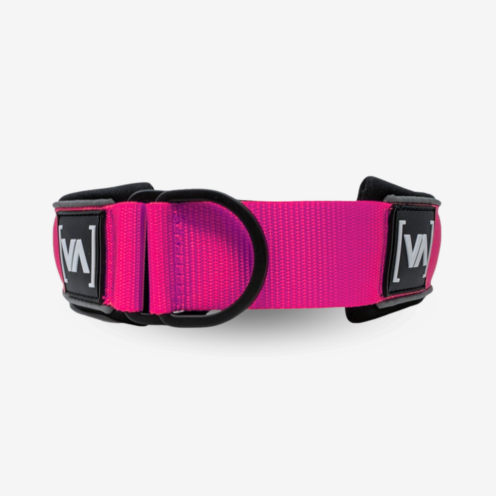 Reflektierendes pinkes Zugstopp-Hundehalsband - Mit Anti-Würg-Funktion - Vitomalia - Hundehalsband Easy Go Edition