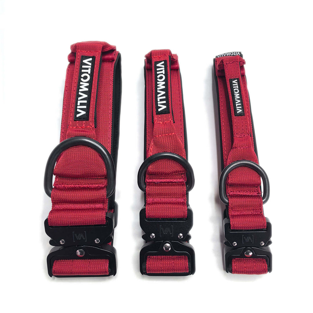 Taktisches Hundehalsband mit belastbarer Schnalle & Magnet Handgriff - Bordeaux - Vitomalia - Hundehalsband Extreme Edition
