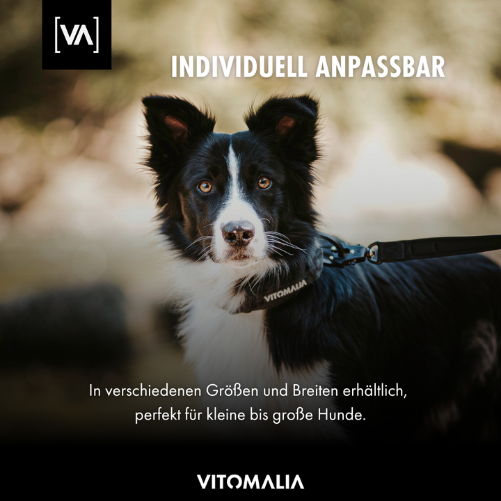Taktisches Hundehalsband mit belastbarer Schnalle & Magnet Handgriff - Schwarz - Vitomalia - Hundehalsband Extreme Edition