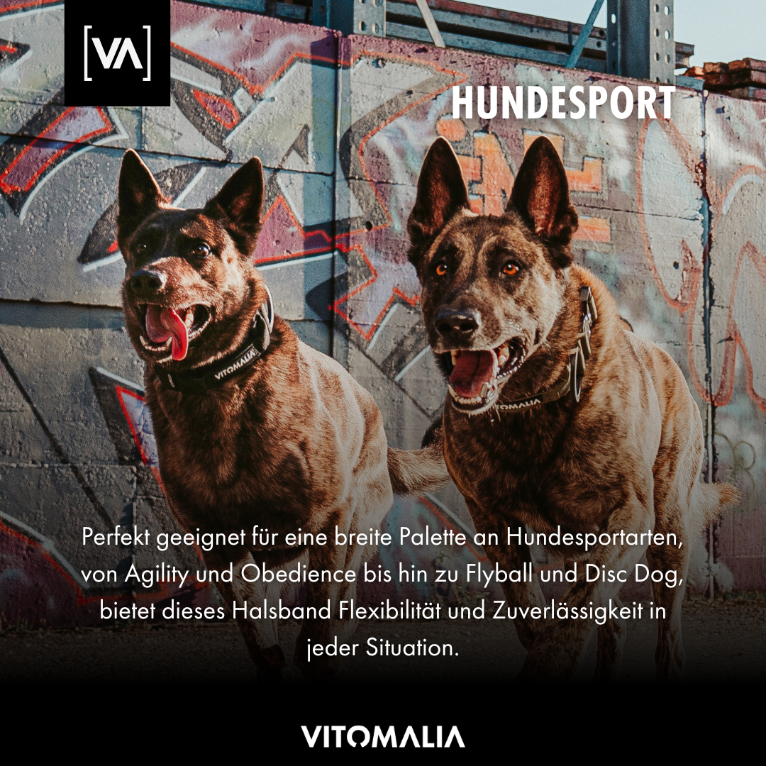 Taktisches Hundehalsband mit belastbarer Schnalle & Magnet Handgriff - Schwarz - Vitomalia - Hundehalsband Extreme Edition