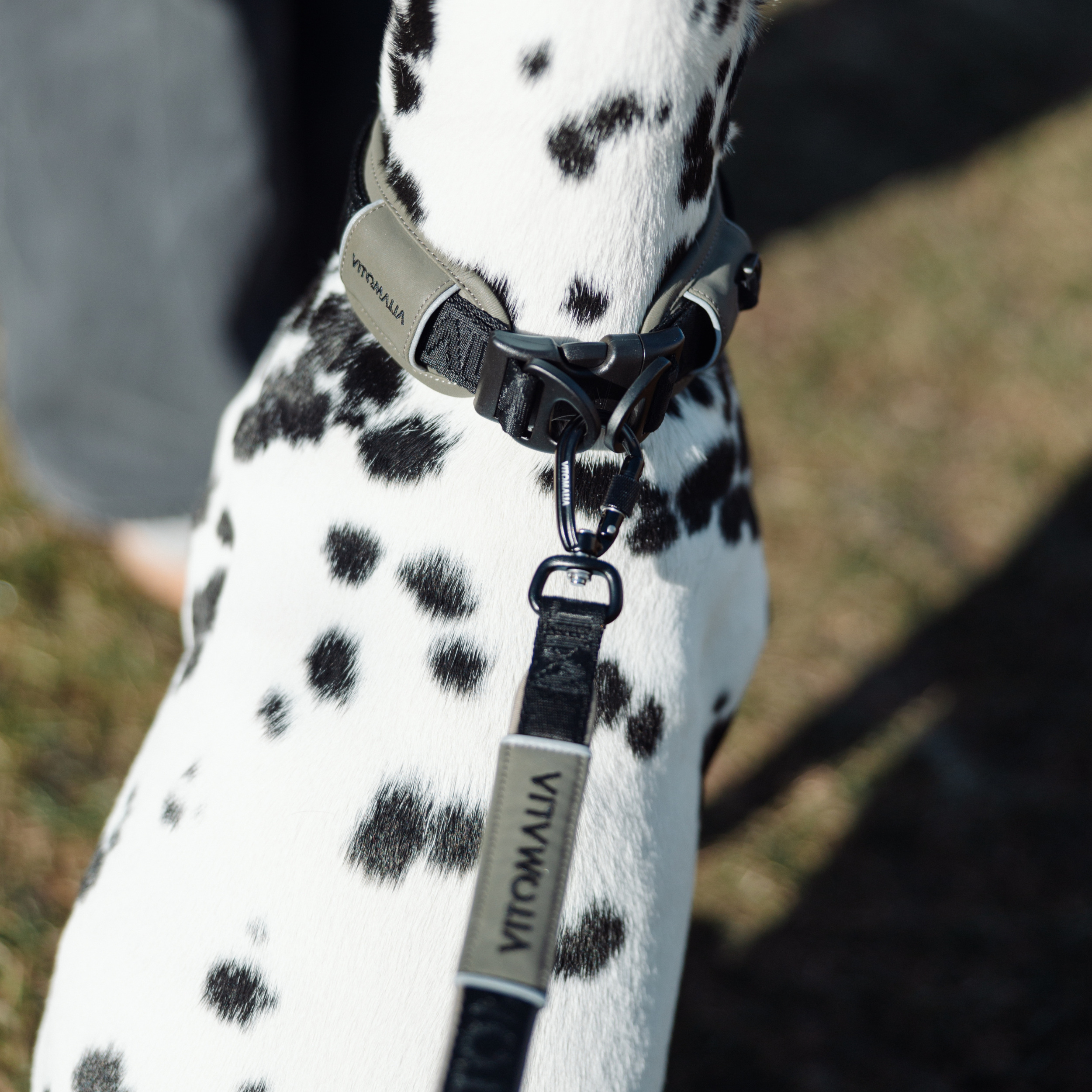 Reflective three-way adjustable Dog Leash Khaki - 2.2 m
